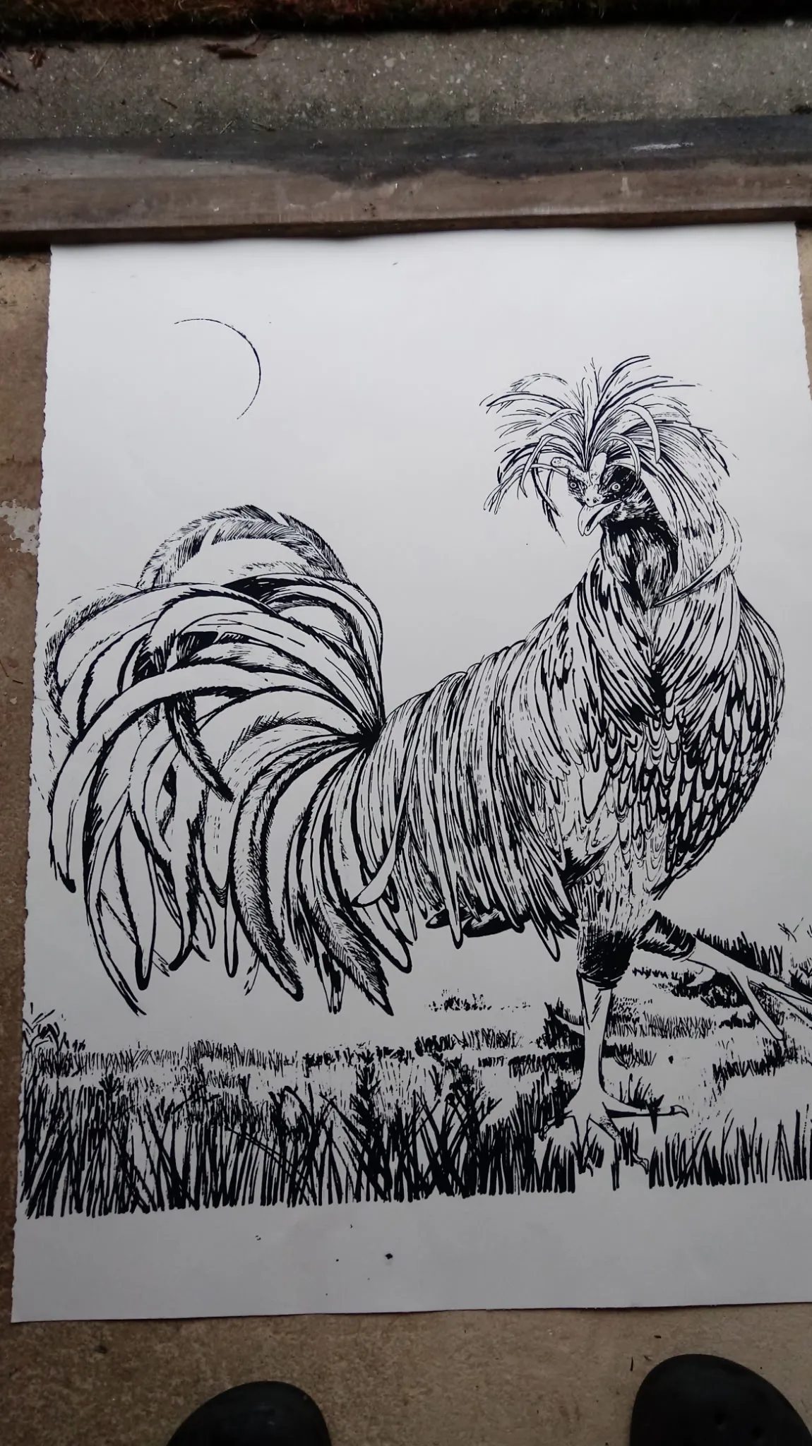 Rooster — Screen print, 2021