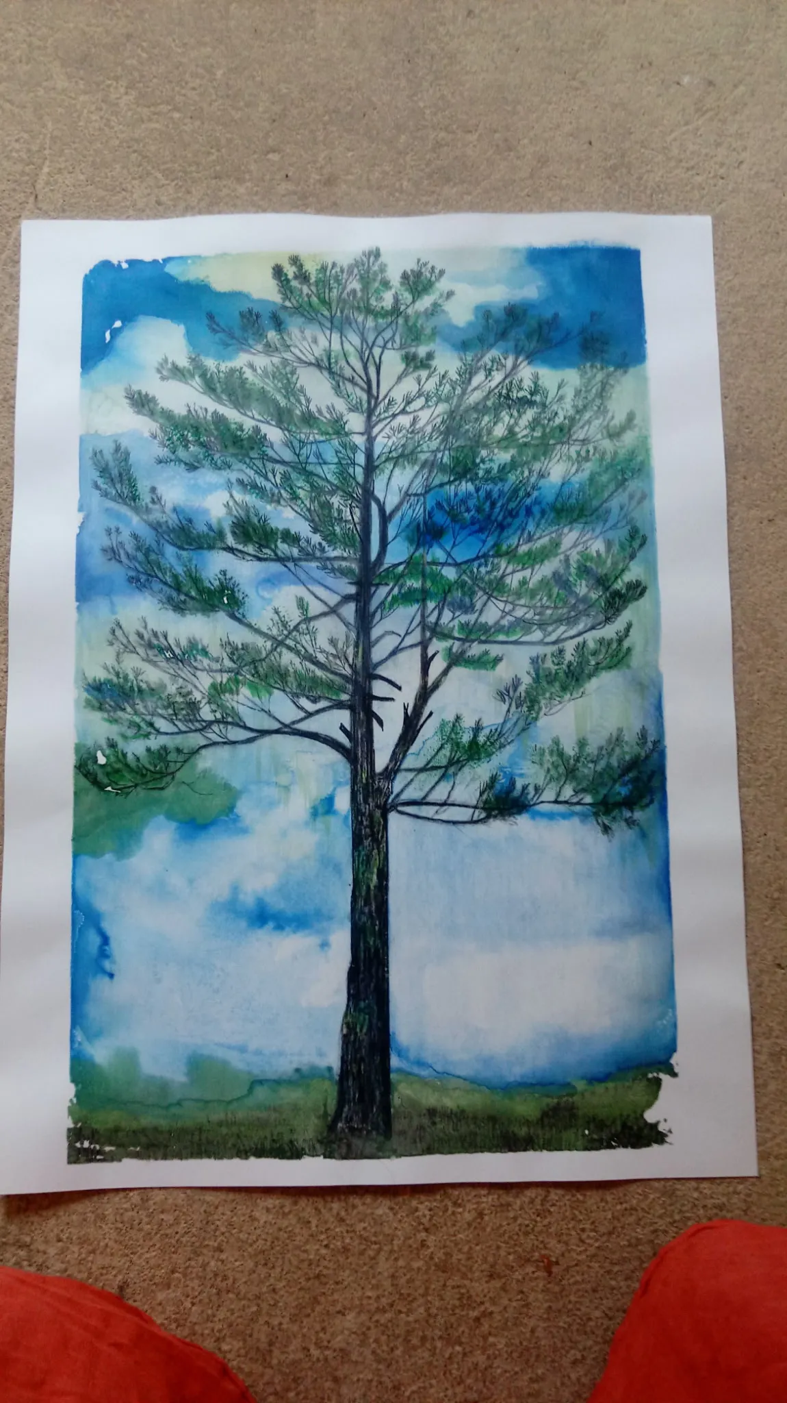 Pine, watercolour — Drawings, 2021
